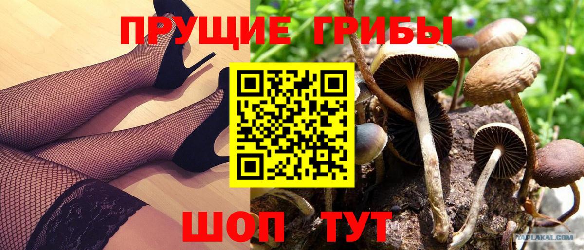 Галлюциногенные грибы Magic Shrooms Михайловск