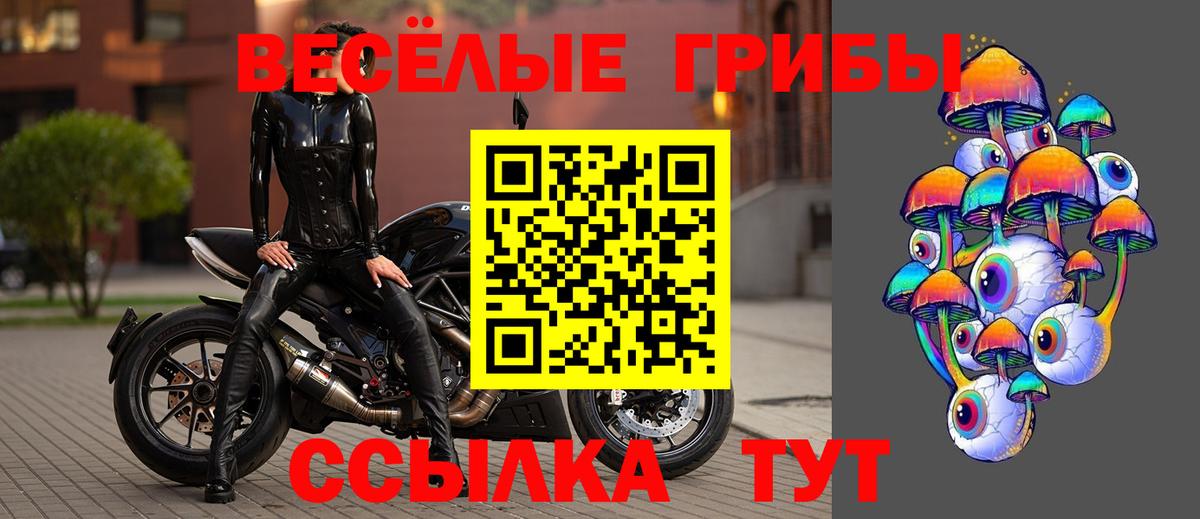 Михайловск  Галлюциногенные грибы Cubensis  Вход с VPN  Псилоцибиновые грибы GOLDEN TEACHER 